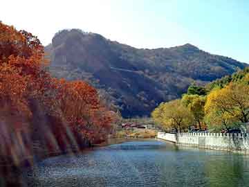 正版澳门天天开彩大全，水晶发夹